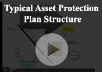 Typical asset protection Structure